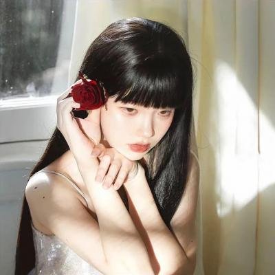 石纪元第四季